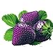 Foto Lamdoo 100x seltene Erdbeere Berry Seed nahrhafte Früchte Pflanze frische Samen (lila) Rezension