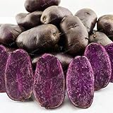Go Garden 100 Pz viola semi di patata viola patata dolce nutrizione delizioso verdi foto, nuovo 2024, miglior prezzo  recensione