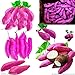 foto Pinkdose Giallo piante di patate dolci piante da giardino Bonsai Jicama/dolci frutta e verdura piante di patate per 20 Pz imballaggio di trasporto: viola recensione