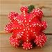 foto Pinkdose 200 pc Semi Fiore di Cactus, Semi Esotiche Piante grasse Ornamentali Attraente impressionanti: 3 recensione