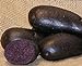 foto Sycamore Trading Semi di patata viola per 10 tuberi Varietà di patata precoce viola con buccia liscia blu scuro o viola e polpa di colore blu intenso. recensione
