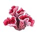 foto UEETEK Coralli rosa per decorazione acquario recensione