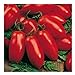 Foto Rote Tomate in Flaschenform - San Marzano - Flaschentomate - 20 Samen Rezension