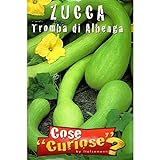 Vivai Le Georgiche Zucca Tromba Di Albenga (Semente) foto, nuovo 2024, miglior prezzo EUR 3,90 recensione