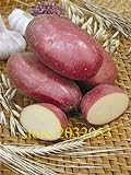 Pinkdose semi bonsai patata rossa di patate pelle 200 Empress Semi di ortaggi provenienti dalla Cina NO-OGM per la casa orto foto, nuovo 2024, miglior prezzo  recensione