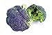 foto Broccoli Miranda semi - Brassica oleracea recensione