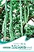 Foto 4 Tropical Snake Kürbiskerne - Trichosanthes Anguina L - Kürbiskern in Original Pflanzliche Verpackung Rezension