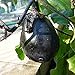 Foto 10 Samen Aubergine Black Beauty – ertragreiche Sorte mit dunkelvioletten Früchten Rezension