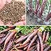 foto Rosepoem 500pcs drago viola carota Semi Heirloom fai da te giardino Semi orticoltura recensione