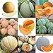 foto Portal Cool 09: 20 Pz/borsa Semi di melone Delicious Melone Seeds Home Garden Plants Ehe8 02 recensione