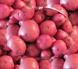 Seed Potatoes for Planting - Red LaSoda -5lbs. Photo, new 2024, best price $27.00 ($0.34 / Ounce) review