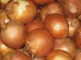 Onion Seeds- Sweet Yellow Spanish Heirloom- 250+ Seeds Photo, new 2024, best price $4.39 review