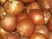 Photo Onion Seeds- Sweet Yellow Spanish Heirloom- 250+ Seeds review