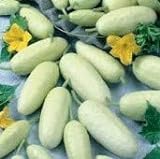 David's Garden Seeds Cucumber Pickling White Miniature 9881 (White) 50 Non-GMO, Open Pollinated Seeds Photo, new 2024, best price $4.45 review