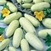 Photo David's Garden Seeds Cucumber Pickling White Miniature 9881 (White) 50 Non-GMO, Open Pollinated Seeds review