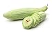 Photo Armenian Yard-Long Cucumber Seeds - Non-GMO - 4 Grams, Approximately 130 Seeds review