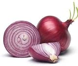 Red Shortday Burgundy Onion Seeds, 300 Heirloom Seeds Per Packet, Non GMO Seeds, Botanical Name: Allium cepa, Isla's Garden Seeds Photo, new 2024, best price $5.99 ($0.02 / Count) review