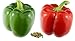 Photo RDR Seeds 100 California Wonder Sweet Pepper Seeds for Planting - Heirloom Non-GMO Pepper Seeds for Planting - Bell Pepper Matures from Green to Red review