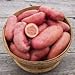 Photo Seed Potatoes for Planting French Fingerling 5lbs. review