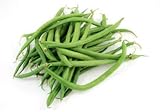 Tendergreen Green Bean Seeds, 50 Heirloom Seeds Per Packet, Non GMO Seeds Photo, new 2024, best price $5.79 ($0.12 / Count) review