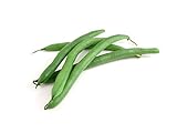 Slenderette Green Bean (Bush Bean) Seeds, 50+ Heirloom Seeds Per Packet, (Isla's Garden Seeds), Non GMO Seeds, Scientific Name: Phaseolus vulgaris Photo, new 2024, best price $5.99 ($0.12 / Count) review