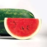 Park Seed Sangria Hybrid Watermelon Seeds, Pack of 10 Seeds Photo, new 2024, best price $8.50 ($0.85 / Count) review