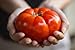Foto Semillas de tomate / Red jugosa gigante / aprox. 50 semillas / tomate gigante / semillas de hortalizas / autosuficiente revisión