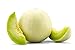 Photo Honeydew Melon Green Flesh, 30 Heirloom Seeds Per Packet, Non GMO Seeds, Botanical Name: Cucumis melo L., Isla's Garden Seeds review