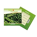 Markerbsen Bördi Samen - Pisum sativum - Erbsensamen - Gemüsesamen - Saatgut für 50 Pflanzen Foto, neu 2024, bester Preis 1,99 € (0,04 € / stück) Rezension
