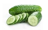 Bush Cucumber Seeds for Planting Outdoors Home Garden - Heirloom Vegetable Seeds - Bush Spacemaster Cucumber Photo, new 2024, best price $5.98 review