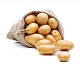 Kartoffel Belana festkochend 10kg deutsche Speisekartoffel Foto, neu 2024, bester Preis 9,90 € (0,99 € / kg) Rezension