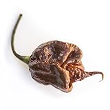 Pepper Joe’s Trinidad Scorpion Chocolate Cappuccino Pepper Seeds ­­­­­– Pack of 10+ Rare Superhot Chili Pepper Seeds – USA Grown ­– Premium Cappuccino Scorpion Seeds for Planting Photo, new 2024, best price $12.19 ($1.22 / Count) review