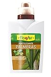 Flower 10561 - Abono líquido Palmeras, 500 ml Foto, nuevo 2024, mejor precio 5,95 € revisión