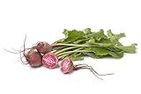 Chioggia Beet Seeds, 100+ Heirloom Seeds Per Packet, (Isla's Garden Seeds), Non GMO Seeds, Botanical Name: Beta vulgaris Photo, new 2024, best price $5.79 ($0.06 / Count) review