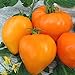 Foto Tomate Altai Honig - Sehr Leckere Tomatensorte - ertragreich - 10 Samen Rezension