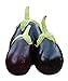 Photo Burpee Early Midnight Eggplant Seeds 35 seeds review