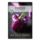 Sow Right Seeds - Purple Beauty Pepper Seed for Planting - Non-GMO Heirloom Packet with Instructions to Plant and Grow an Outdoor Home Vegetable Garden - Productive Sweet Bell Peppers - Great Gift Photo, new 2024, best price $5.49 review
