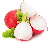 Cherry Belle Radish Seeds | Vegetable Seeds for Planting Outdoor Gardens | Heirloom & Non-GMO | Planting Instructions Included Photo, new 2024, best price $6.95 review