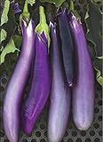 David's Garden Seeds Eggplant Ping Tung Long 7333 (Purple) 50 Non-GMO, Heirloom Seeds Photo, new 2024, best price $3.95 review
