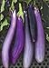 Photo David's Garden Seeds Eggplant Ping Tung Long 7333 (Purple) 50 Non-GMO, Heirloom Seeds review