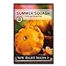 Photo Sow Right Seeds - Yellow Scallop Summer Squash Seed for Planting  - Non-GMO Heirloom Packet with Instructions to Plant a Home Vegetable Garden review