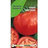 Graines passion bolsa de semillas tomate san pedro Foto, nuevo 2024, mejor precio 4,80 € revisión