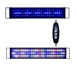 Sxspace 60 – 200 cm, iluminación de acuario 5730SMD de espectro completo, lámpara LED de agua de mar UE A149 (120 – 150 cm 45 W) Foto, nuevo 2024, mejor precio 75,99 € revisión