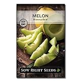 Sow Right Seeds - Green Honeydew Melon Seed for Planting - Non-GMO Heirloom Packet with Instructions to Plant a Home Vegetable Garden Photo, new 2024, best price $4.99 review