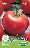 Germisem graines Tomate PYROS F1 Photo, nouveau 2024, meilleur prix 5,83 € examen