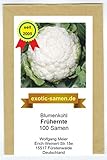 Blumenkohl - Frühernte - 100 Samen Foto, neu 2024, bester Preis 1,80 € Rezension