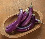 David's Garden Seeds Eggplant Asian Delite (Purple) 25 Non-GMO, Hybrid Seeds Photo, new 2024, best price $3.45 review