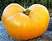 Foto 50 semillas de tomate huerto, granja plantación semillas de hortalizas carne de naranja llena de naranja semillas raras esenciales revisión