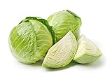 Late Flat Dutch Cabbage Seeds, 1000 Heirloom Seeds Per Packet, Non GMO Seeds, Botanical Name: Brassica oleracea VAR. capitata, Isla's Garden Seeds Photo, new 2024, best price $5.89 ($0.01 / Count) review