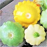 TomorrowSeeds - 3 Colors Mix Patty Pan Squash Seeds - 20+ Count Packet - Yellow, Green Tint, White Bush Scallop Summer Patisson Scallopini Photo, new 2024, best price $3.80 ($0.19 / Count) review